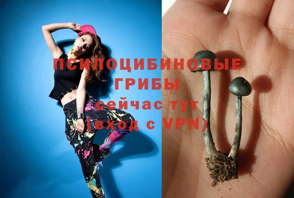 трава Алексеевка
