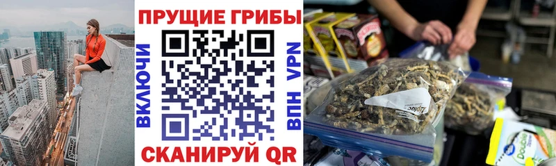 Псилоцибиновые грибы Psilocybine cubensis Новомосковск