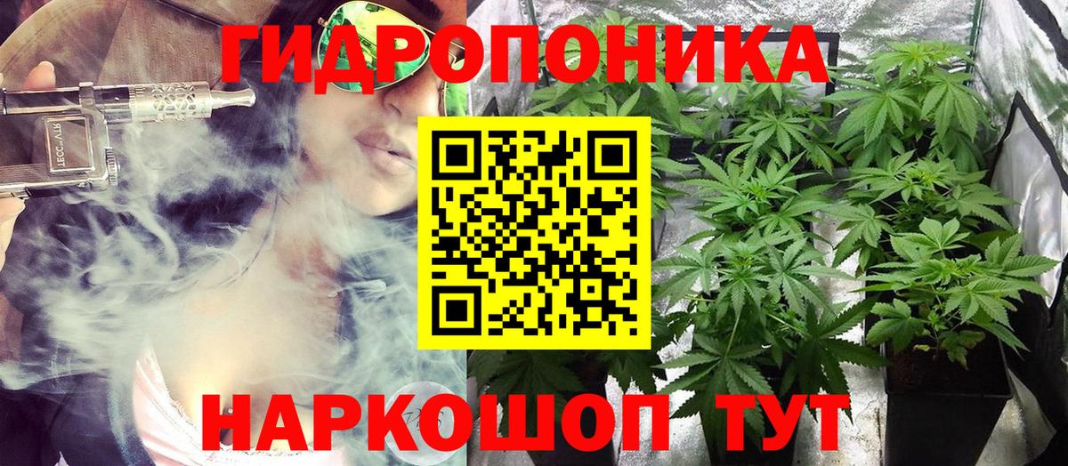 Новомосковск  Конопля ГИДРОПОН  Вход с VPN  Бошки Шишки OG Kush  Конопля Bruce Banner 